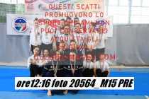 20564_M15-PRE
