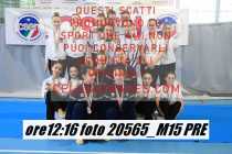 20565_M15-PRE