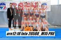 20588_M15-PRE