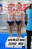 23265_M15-