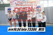 23306_M15-
