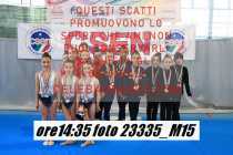 23335_M15-