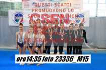 23336_M15-