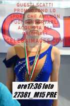 27381_M15-PRE