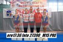27390_M15-PRE