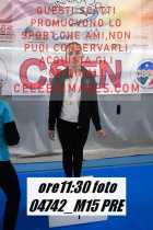 04742_M15-PRE