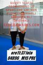 04896_M15-PRE