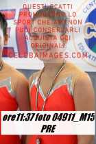 04911_M15-PRE
