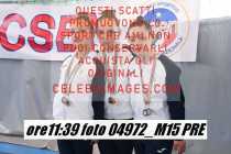 04972_M15-PRE