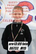 06733_M15-