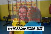 12990_M15-