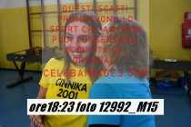 12992_M15-