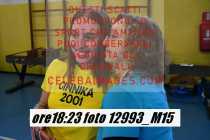 12993_M15-