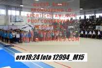 12994_M15-