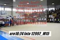 12997_M15-