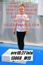 13068_M15-
