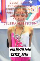 13113_M15-