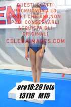 13118_M15-