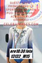 13132_M15-