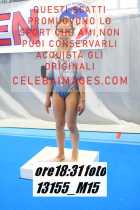 13155_M15-