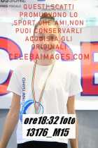 13176_M15-