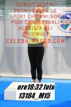 13184_M15-