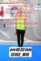 13193_M15-