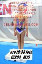 13204_M15-