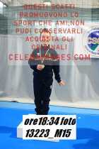 13223_M15-