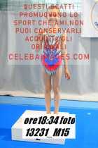 13231_M15-