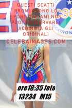 13234_M15-