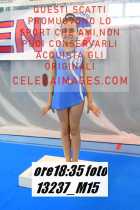 13237_M15-