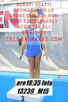 13239_M15-