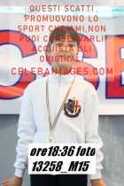 13258_M15-