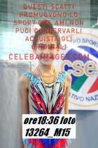 13264_M15-
