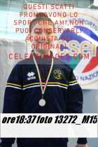 13272_M15-