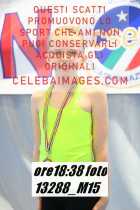 13288_M15-