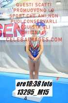 13295_M15-