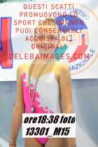 13301_M15-