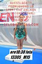 13305_M15-