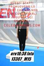 13307_M15-
