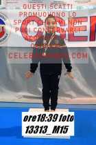 13313_M15-
