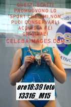 13316_M15-