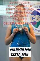 13317_M15-