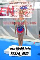 13324_M15-