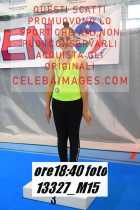 13327_M15-