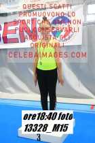 13328_M15-