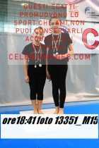 13351_M15-