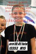 13353_M15-