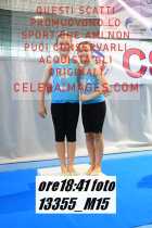 13355_M15-